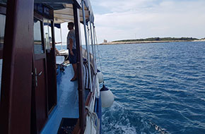 Brijuni_Fishpicnic